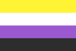 Non-Binary Flag